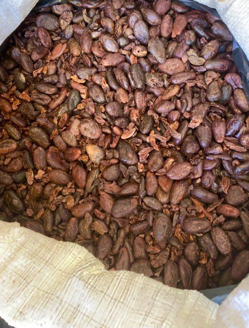 pure organic raw cacao beans